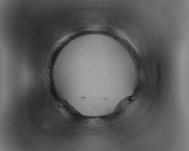 X0000087331304200705112149