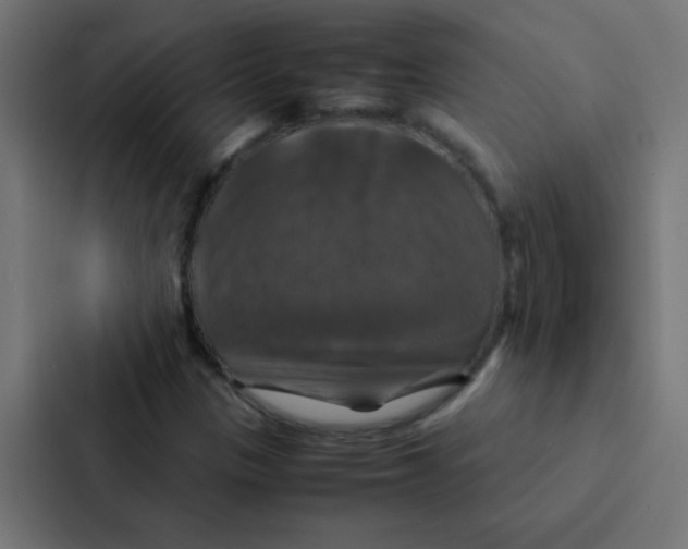 X0000087331305200705112149