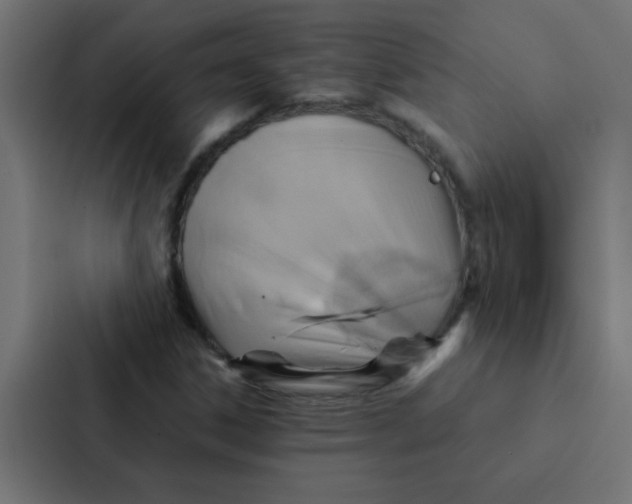 X0000087331306200705112149