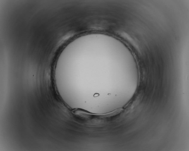 X0000087331307200705112149