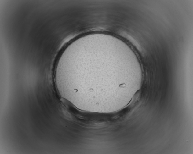 X0000087331308200705112149