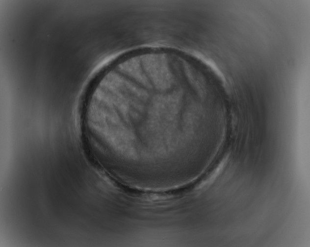 X0000087331311200705112149