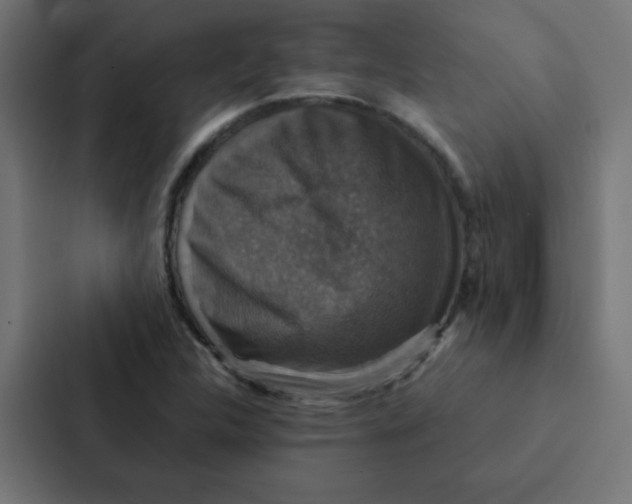 X0000087331312200705112149