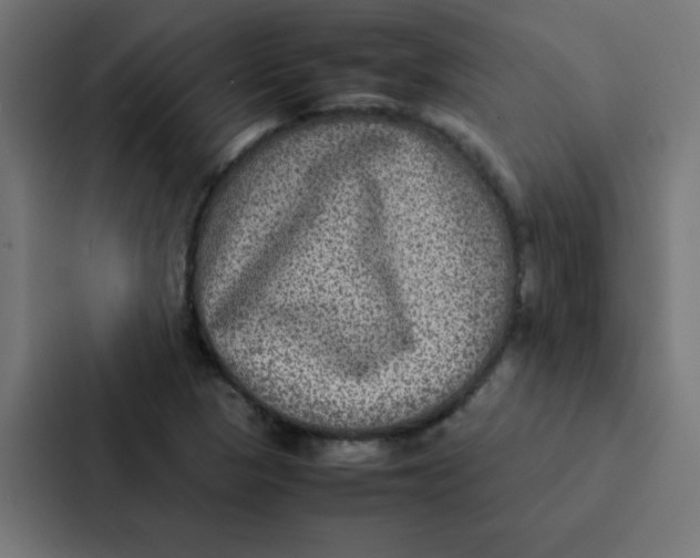 X0000087331313200705112149