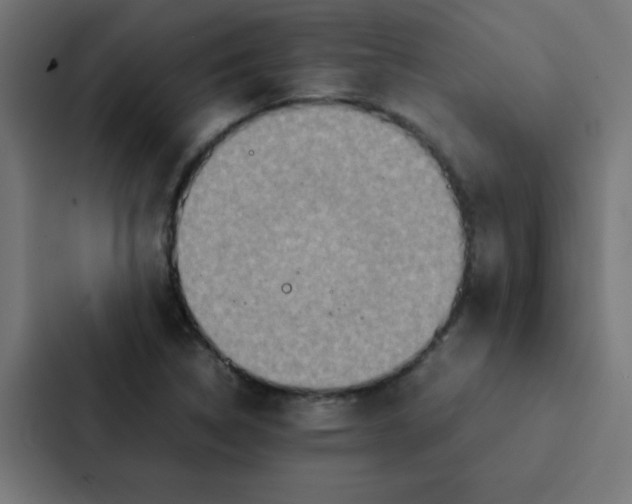X0000087331314200705112149