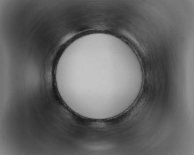 X0000087331315200705112149
