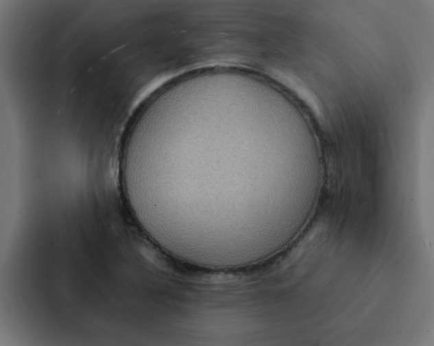 X0000087331316200705112149