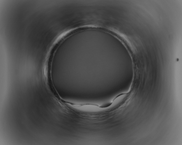 X0000087331319200705112149