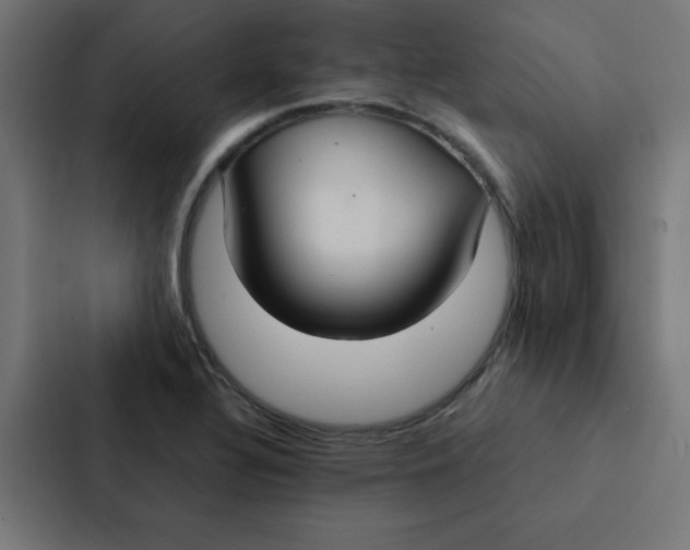 X0000087331320200705112149