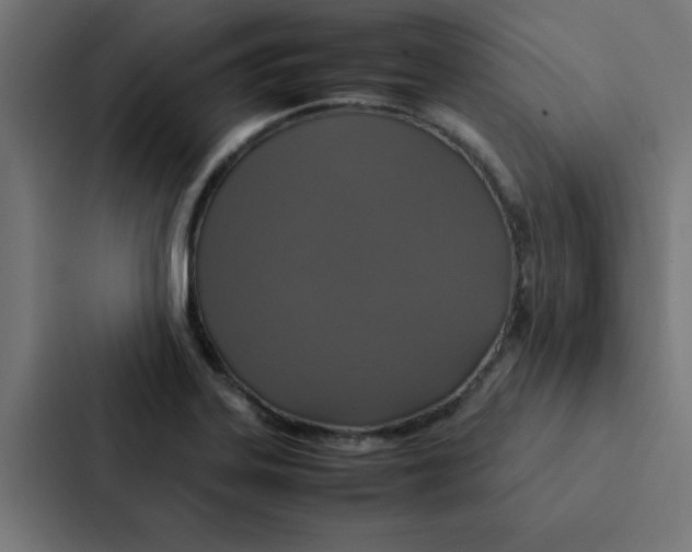 X0000087331323200705112149