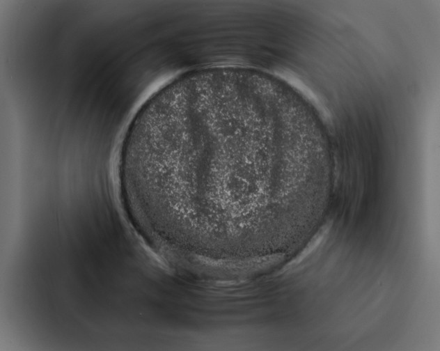X0000087331325200705112149