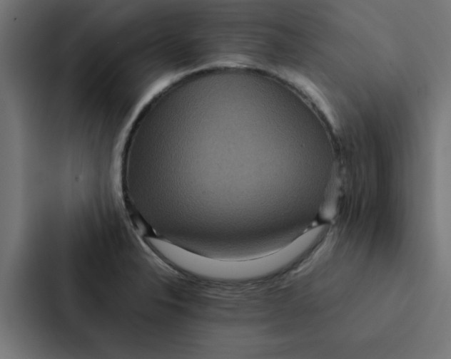X0000087331326200705112149