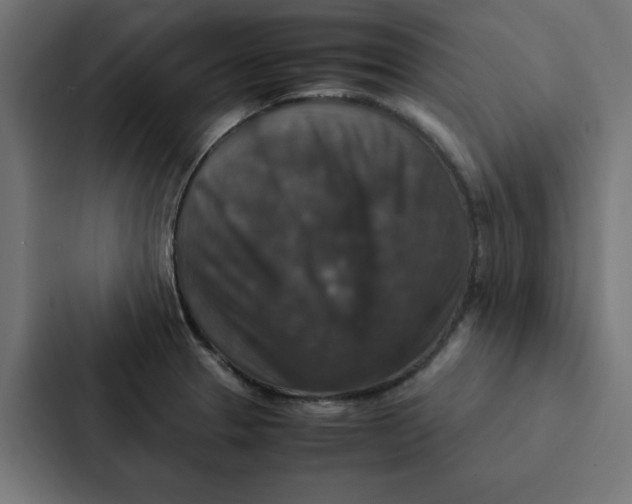X0000087331329200705112149