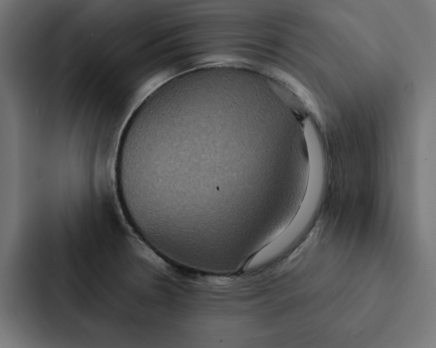 X0000087331330200705112149