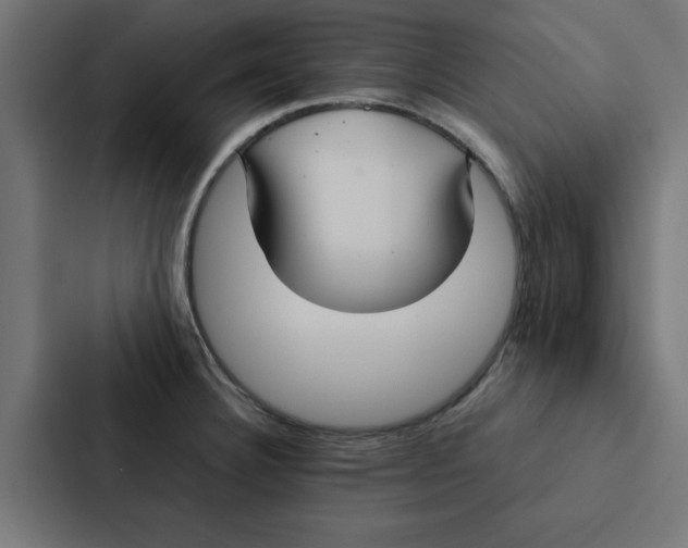 X0000087331332200705112149
