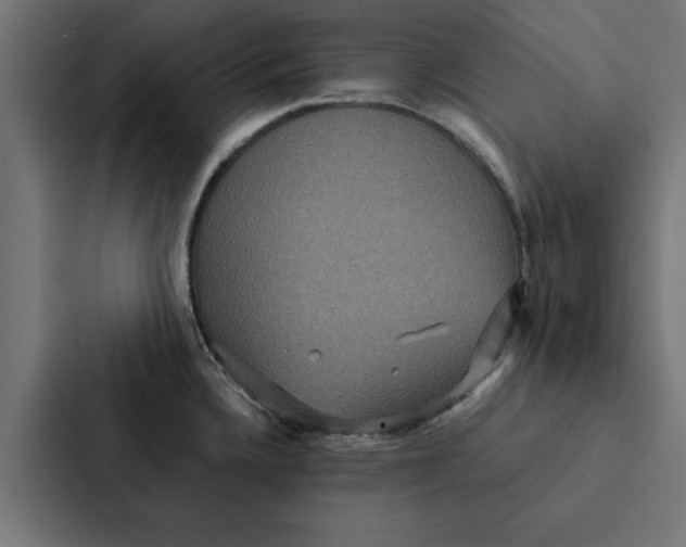 X0000087331336200705112149