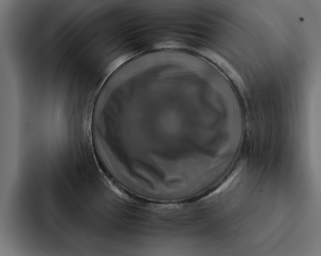 X0000087331337200705112149