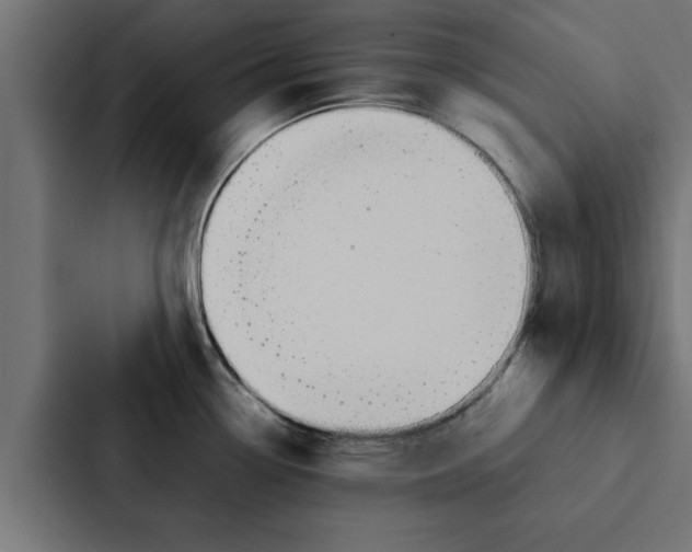 X0000087331338200705112149