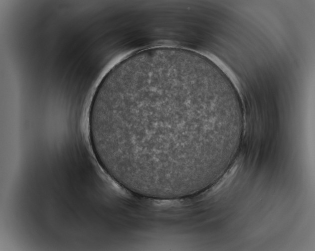 X0000087331341200705112149