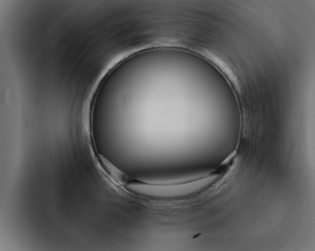 X0000087331342200705112149