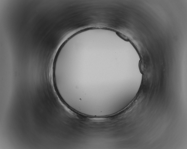 X0000087331343200705112149