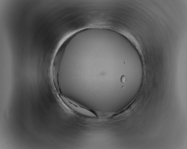 X0000087331344200705112149