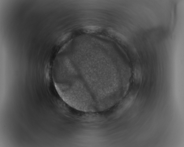 X0000087331346200705112149
