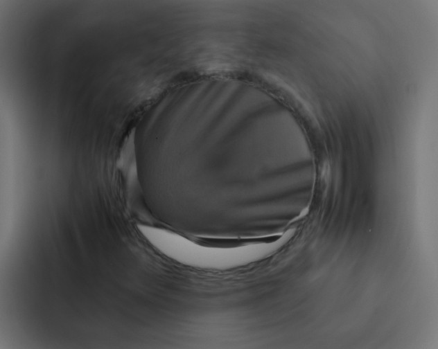 X0000087331348200705112149