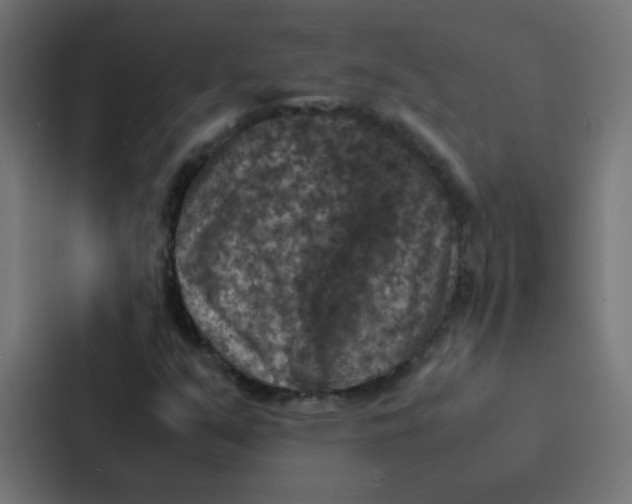 X0000087331351200705112148