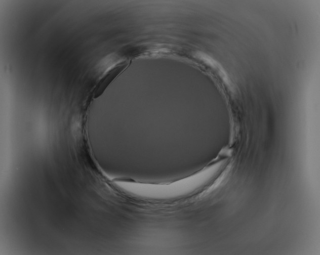 X0000087331353200705112148