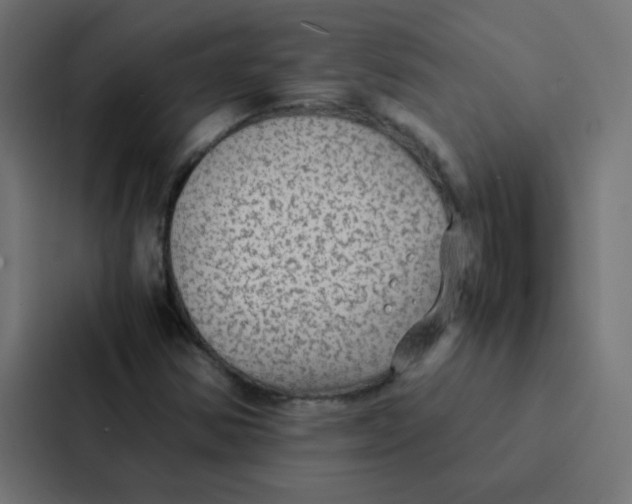 X0000087331354200705112148