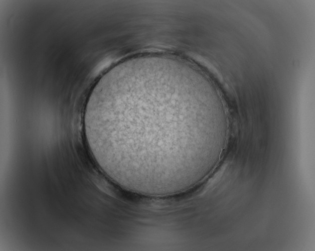 X0000087331355200705112148