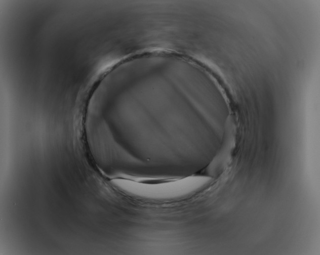 X0000087331359200705112148