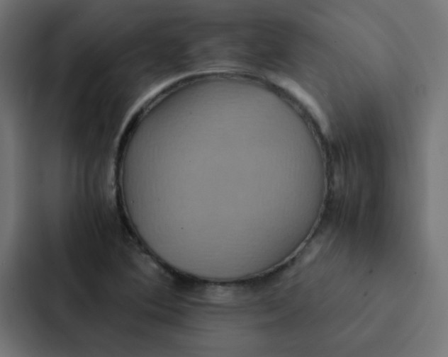 X0000087331364200705112148