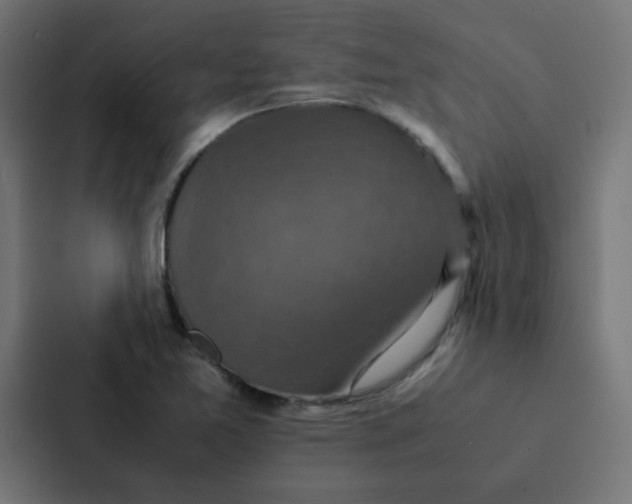 X0000087331365200705112148