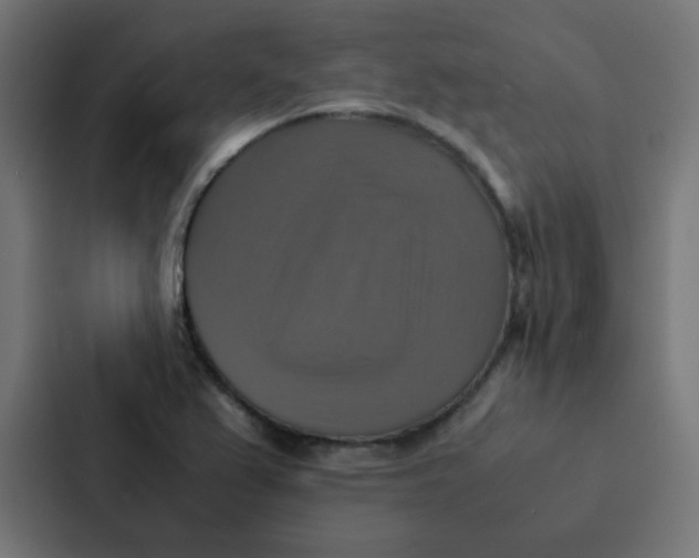 X0000087331367200705112148