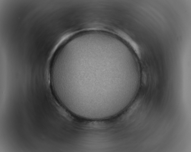 X0000087331368200705112148