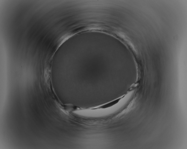 X0000087331369200705112148