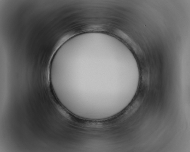 X0000087331370200705112148