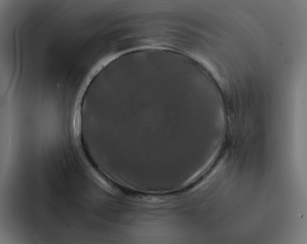 X0000087331371200705112148
