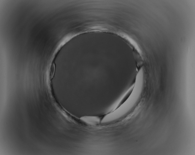 X0000087331373200705112148