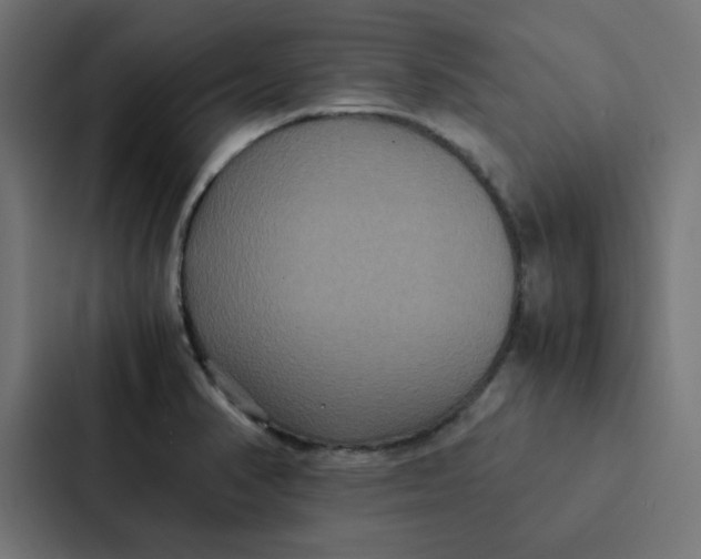 X0000087331374200705112148
