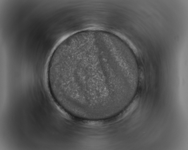 X0000087331375200705112148