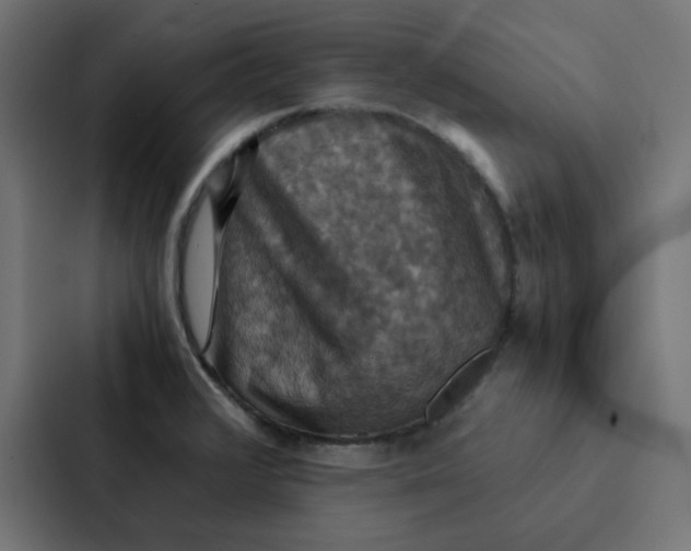 X0000087331376200705112148