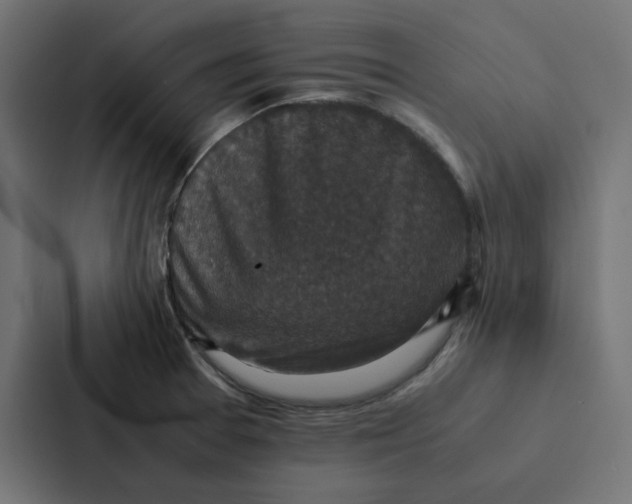 X0000087331377200705112148