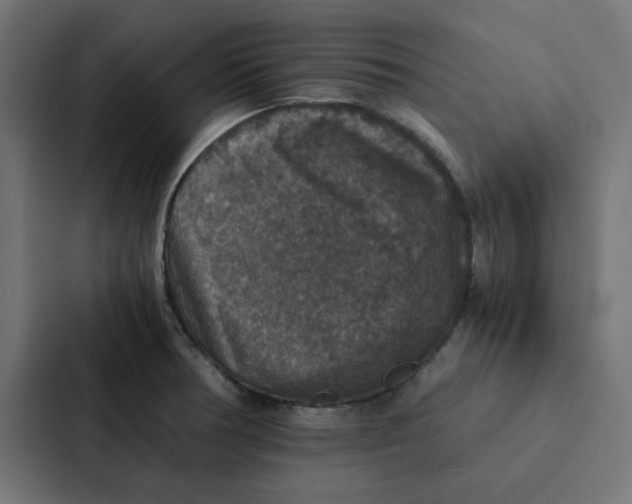 X0000087331378200705112148