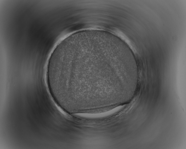 X0000087331379200705112148