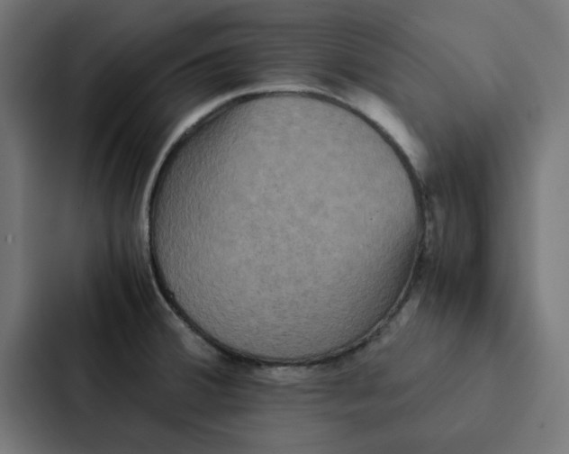 X0000087331380200705112148