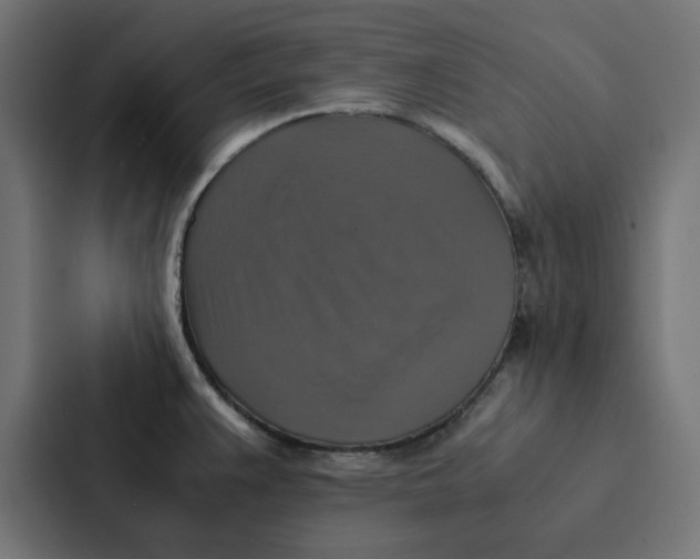 X0000087331383200705112148