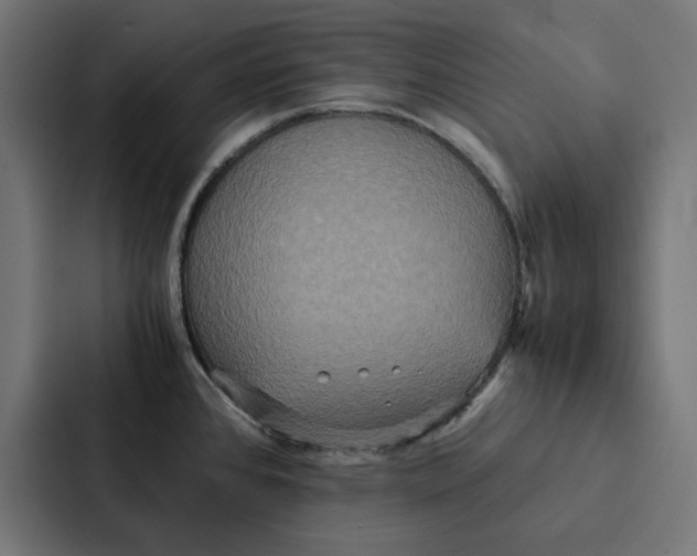 X0000087331384200705112148